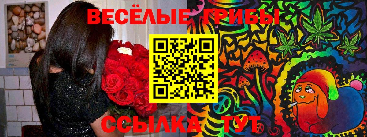 Псилоцибиновые грибы GOLDEN TEACHER  Вход с VPN  Топки 